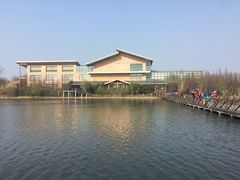 -溱湖国家湿地公园