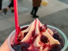 -蜜雪冰城(托乐嘉店)