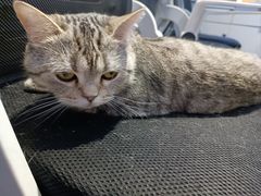 -神盾局科技密室(永川万达广场店)