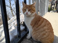 -终南山南五台景区