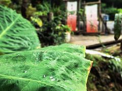 -观清澜疗愈民宿(龙泉山风景区店)