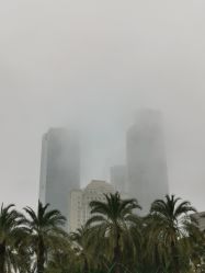 -厦门海景洲际酒店·宴会厅