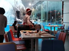 -帝企鹅自助餐厅•儿童岛•真企鹅(长隆企鹅酒店)