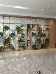 -碧莲盛·不剃发植发