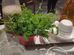 -蕃茄述·好汤自然来(江汉路店)