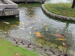 -阳朔悦榕庄·明月西餐厅&清风吧
