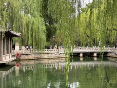 -趵突泉景区