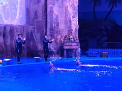 -华夏文旅海洋公园