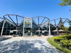 -西山漾湿地公园