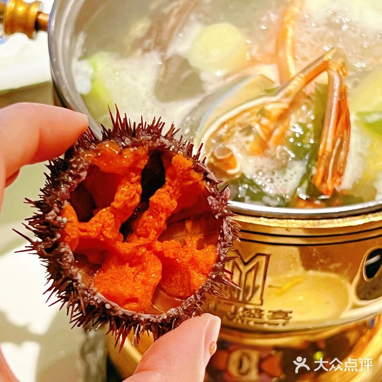 深圳探店｜铭门盛宴🦐艺术海鲜火锅🦀️美味自助大餐来了！