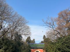 -灵谷景区