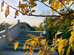 -八大山人梅湖景区
