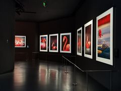 -罗红摄影艺术馆