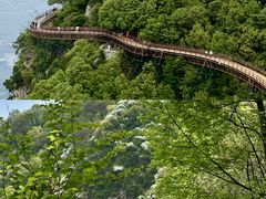 -少华山国家森林公园