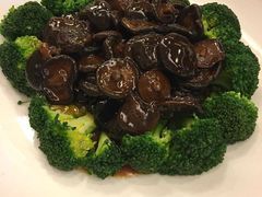 -长春观斋补堂素菜馆