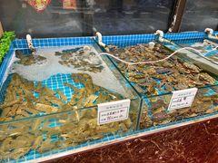 -渡海小渔村.老辈日照菜