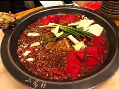 -黄潇洒老火锅(九眼桥宏济巷店)