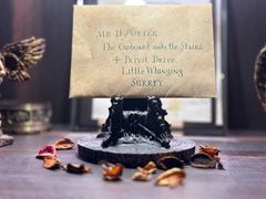 -雪灵魔法世界SHELLY’S TAROT(大良桂畔里店)