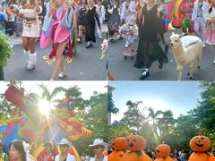-灵玲国际马戏城
