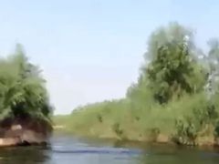 -白洋淀景区