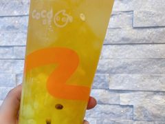 -CoCo都可(铁西万达店)