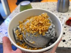 原味椰子灰冰淇淋-蔻蔻椰·鲜萃椰子水(欢乐港湾店)