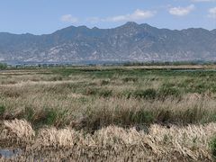-野鸭湖国家湿地公园