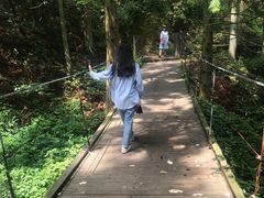 -罗田薄刀峰风景区