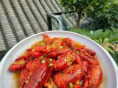 -京B·东篱精酿啤酒音乐餐厅