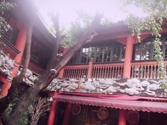 -醉云喃