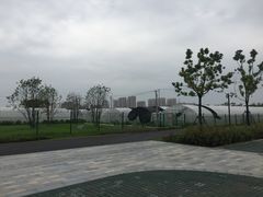 -菊园百果园