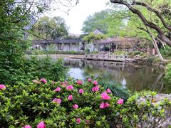 -上海醉白池公园