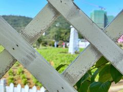-玫瑰海岸文化旅游度假区