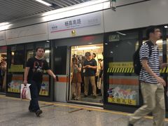 -杨高南路(地铁站)