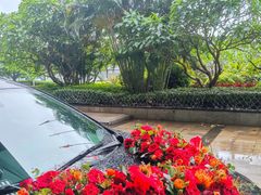 -广交会威斯汀酒店