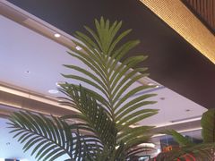 -辛香汇·现炒川菜(城北万象城店)