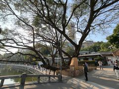 -石炮台公园