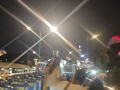 -Big Bus Tours 敞篷观光巴士