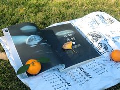 -杭州城北体育公园