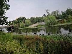 -江南大学(蠡湖校区)