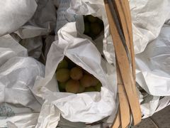 -马陆小张葡萄园农家乐