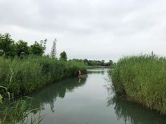 -水月周庄铂尔曼酒店-水月荟中餐厅