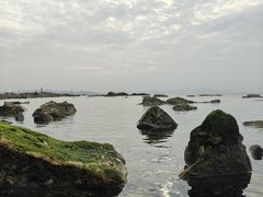 -养马岛旅游度假区