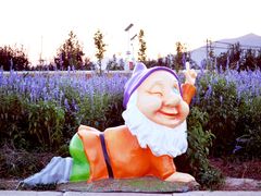 -北京东方普罗旺斯薰衣草庄园