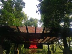 -九曲溪竹筏码头