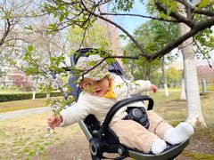 -白塘生态植物园