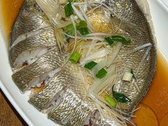 -山海菜馆·海肠捞饭·青岛菜(栈桥店)