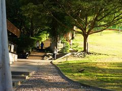 -广州市白云山风景名胜区