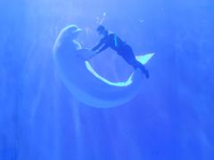 -多彩贵州城极地海洋世界