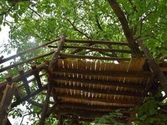 -秦岭风景区